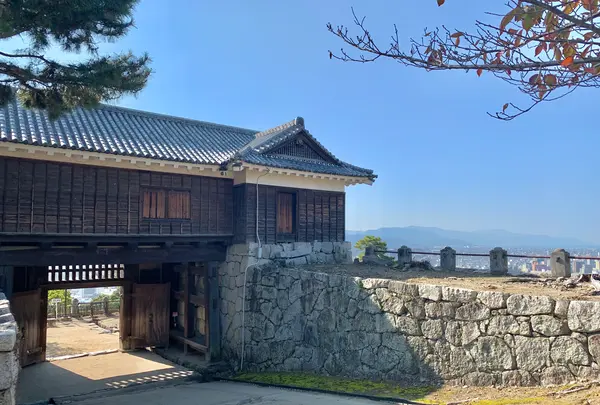 松山城の写真・動画_image_472486