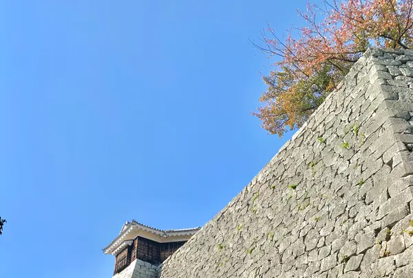 松山城の写真・動画_image_472488