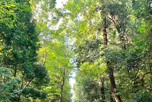 松山城の写真・動画_image_472490