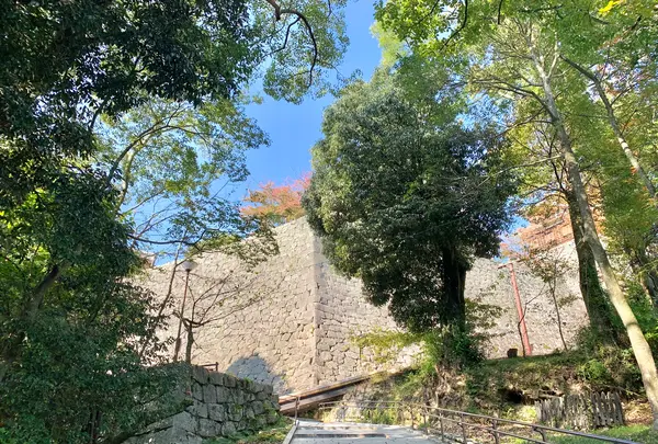 松山城の写真・動画_image_472491