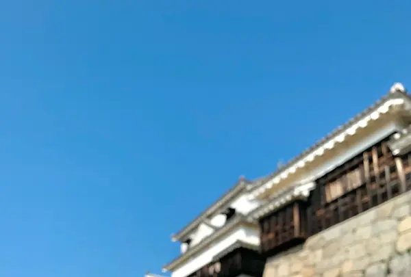 松山城の写真・動画_image_472494