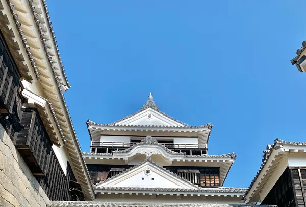 松山城の写真・動画_image_472504