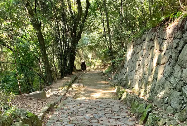 松山城二之丸史跡庭園の写真・動画_image_472528