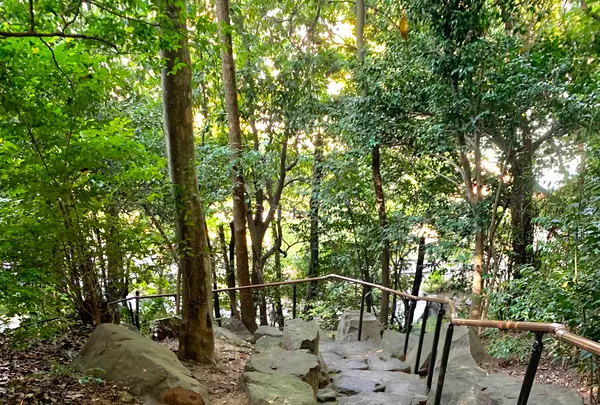 松山城二之丸史跡庭園の写真・動画_image_472535