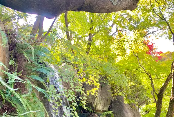 松山城二之丸史跡庭園の写真・動画_image_472538