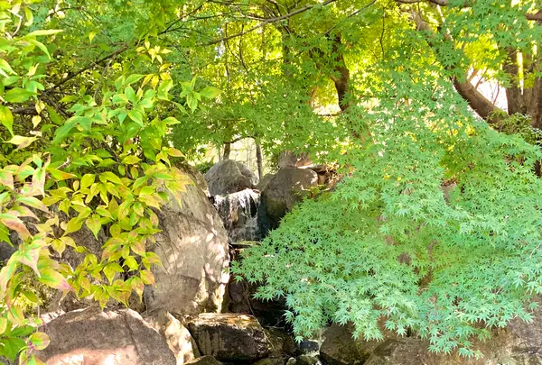 松山城二之丸史跡庭園の写真・動画_image_472541