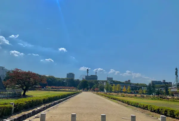 三之丸跡 堀之内公園の写真・動画_image_472543
