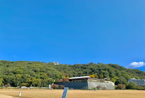 三之丸跡 堀之内公園の写真・動画_image_472544