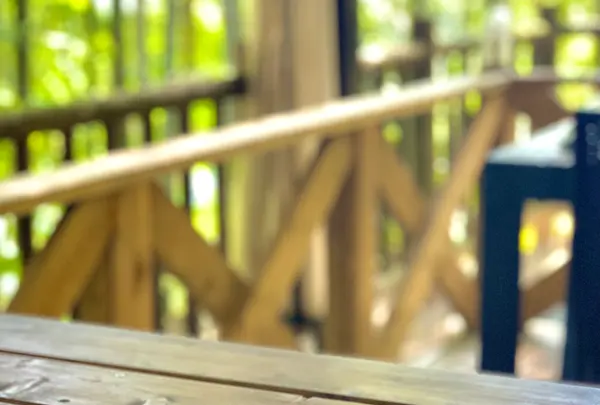 漱石珈琲店 愛松亭の写真・動画_image_472575