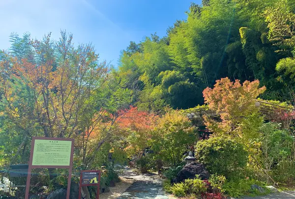 漱石珈琲店 愛松亭の写真・動画_image_472583