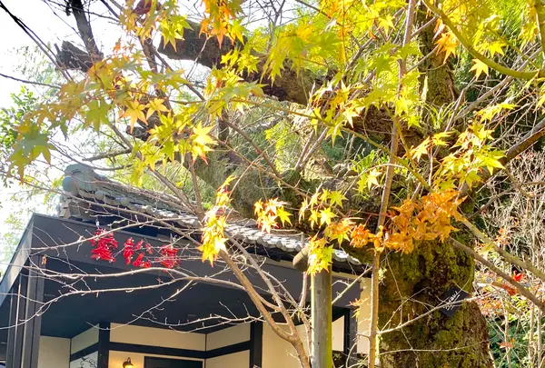 漱石珈琲店 愛松亭の写真・動画_image_472584