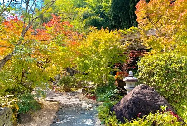 漱石珈琲店 愛松亭の写真・動画_image_472586