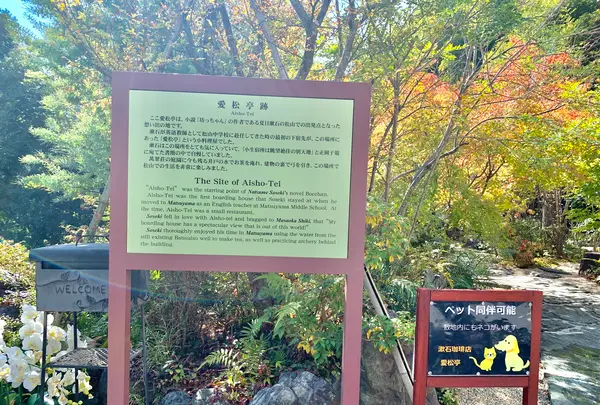 漱石珈琲店 愛松亭の写真・動画_image_472587