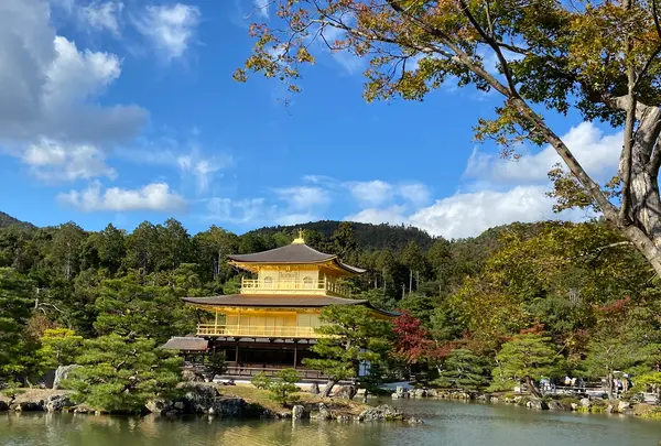 金閣寺（鹿苑寺）の写真・動画_image_473025