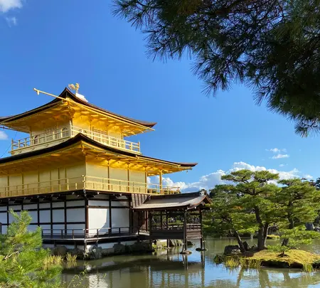 金閣寺（鹿苑寺）の写真・動画_image_473026