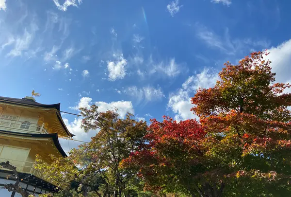 金閣寺（鹿苑寺）の写真・動画_image_473027