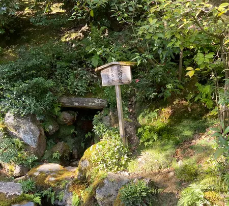 金閣寺（鹿苑寺）の写真・動画_image_473029