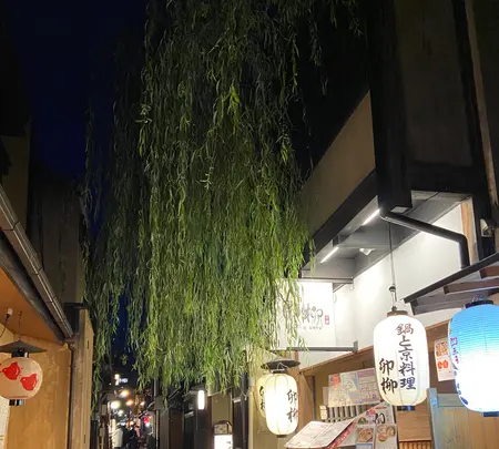 京町家 すいしん 本店の写真・動画_image_473052