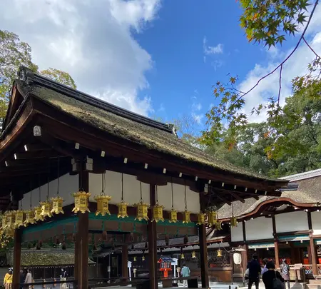 河合神社の写真・動画_image_473078
