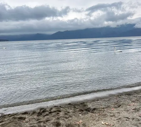 屈斜路湖砂湯の写真・動画_image_473122