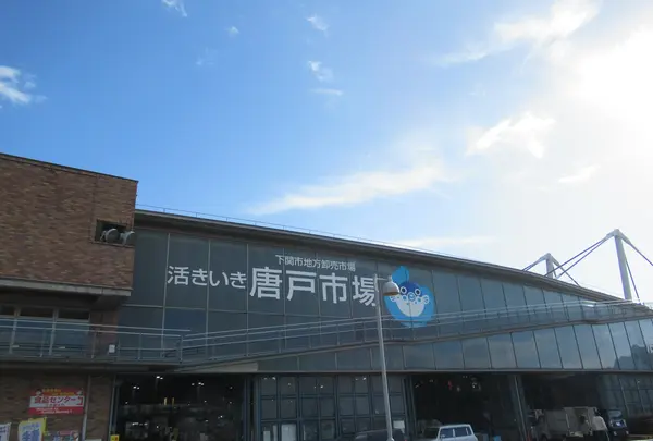 唐戸市場の写真・動画_image_473481