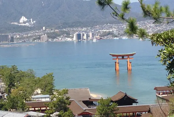 宮島（厳島）の写真・動画_image_473793