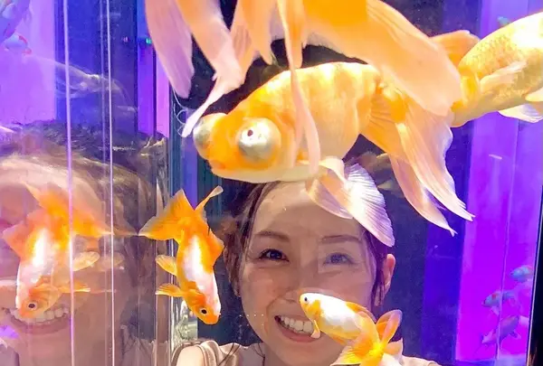 宮島水族館 みやじマリンの写真・動画_image_473800