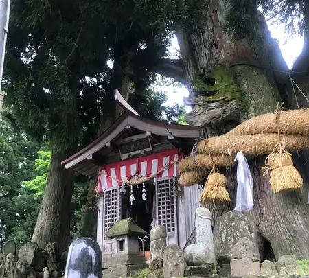 ほだれ大神の写真・動画_image_474082