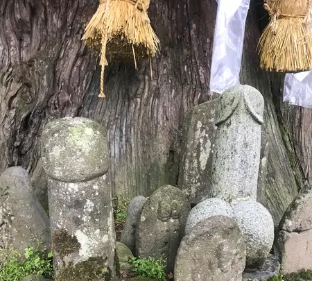 ほだれ大神の写真・動画_image_474083