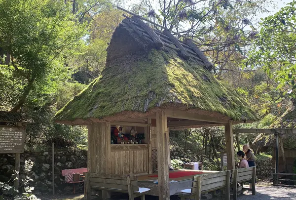 太郎川公園の写真・動画_image_474135