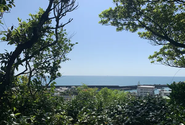 第25番札所 宝珠山 真言院 津照寺の写真・動画_image_474222