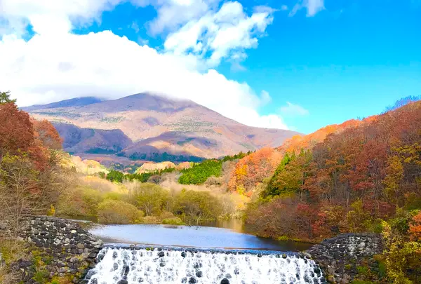 やまびこ吊り橋の写真・動画_image_474230