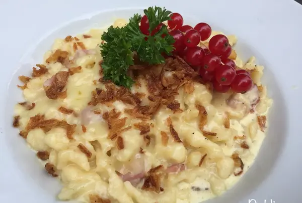 Bierfalkenの写真・動画_image_474311