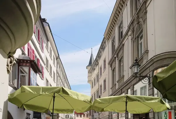 Bierfalkenの写真・動画_image_474314