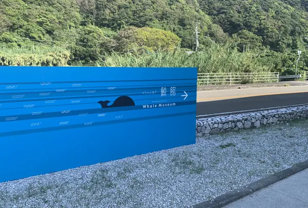 キラメッセ室戸 鯨館の写真・動画_image_474544