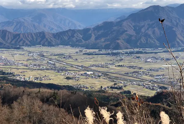 魚沼展望台の写真・動画_image_474826