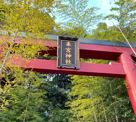來宮神社の写真・動画_image_475338