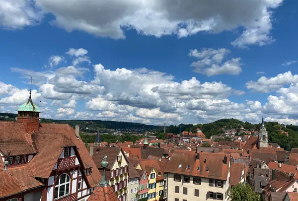 Castle Hohentübingenの写真・動画_image_475466