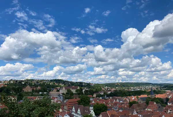 Castle Hohentübingenの写真・動画_image_475467