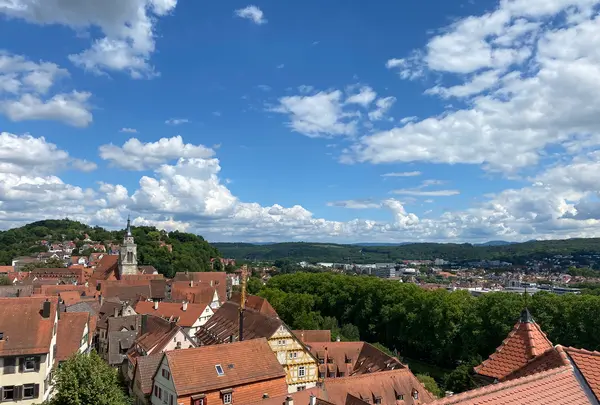 Castle Hohentübingenの写真・動画_image_475468
