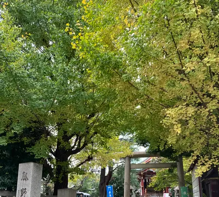 青山熊野神社の写真・動画_image_476118