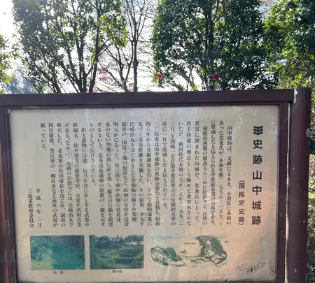 腰巻地区箱根旧街道遺跡の石畳の写真・動画_image_476206