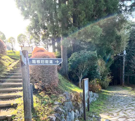 腰巻地区箱根旧街道遺跡の石畳の写真・動画_image_476207
