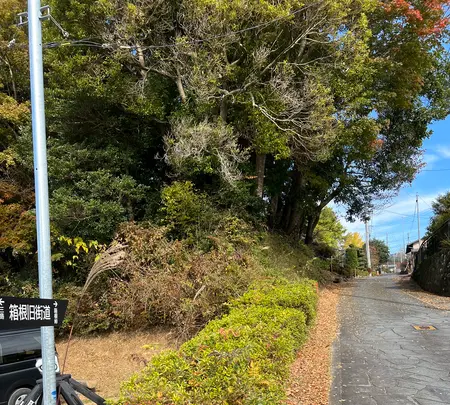 腰巻地区箱根旧街道遺跡の石畳の写真・動画_image_476208