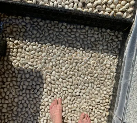 道後舘の写真・動画_image_476245