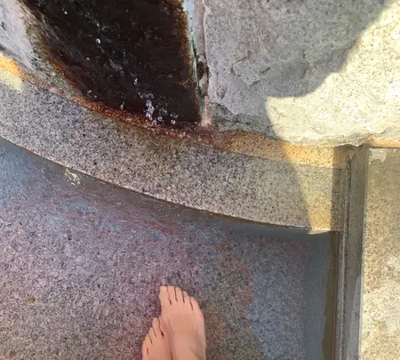 放生園の写真・動画_image_476256