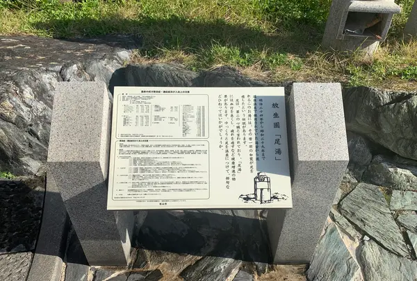 放生園の写真・動画_image_476259