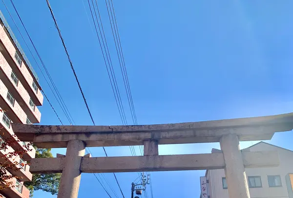 伊佐爾波神社の写真・動画_image_476260