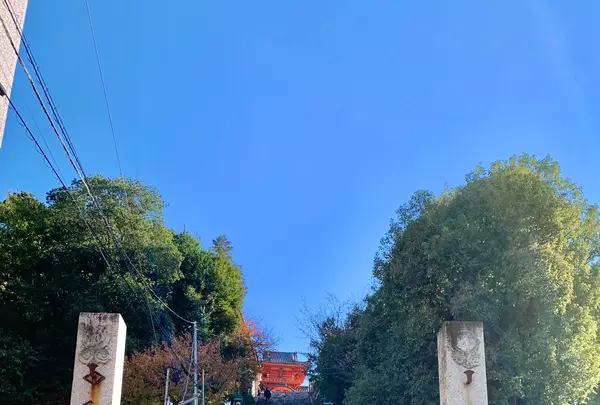 伊佐爾波神社の写真・動画_image_476261