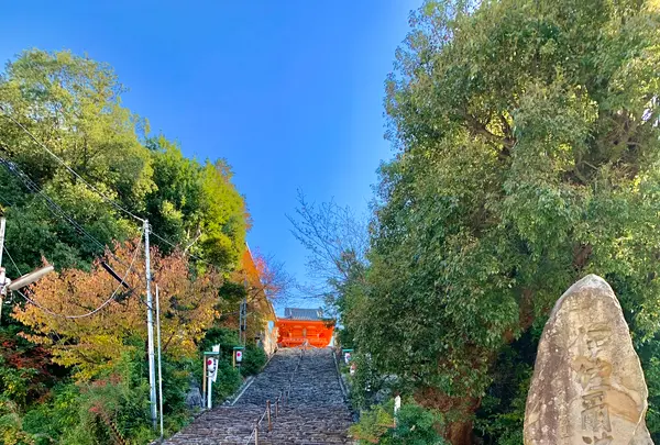 伊佐爾波神社の写真・動画_image_476274